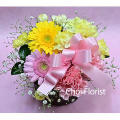 ���F�s���N�n�A�����W/A9242