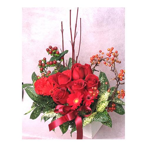 ���̃����f�B�|�iA561�j2