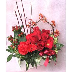 ���̃����f�B�|�iA561�j