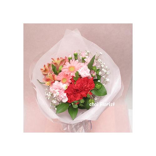 ���ӂ̋C���������߂ā@/B1572