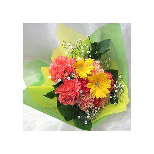 �C�G���A�I�����W�n�̉ԑ��@B1008