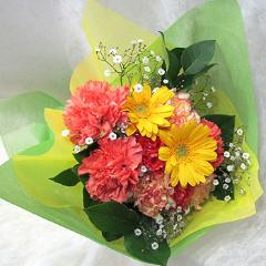 �C�G���A�I�����W�n�̉ԑ��@B1008