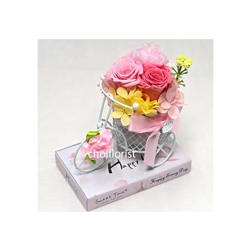 �K���̉Ԏ��]��(�s���N�n) �v���U�[�u�h�^P705