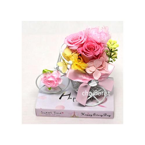 �K���̉Ԏ��]��(�s���N�n) �v���U�[�u�h�^P7052