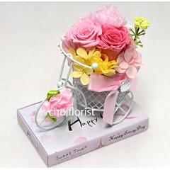 �K���̉Ԏ��]��(�s���N�n) �v���U�[�u�h�^P705