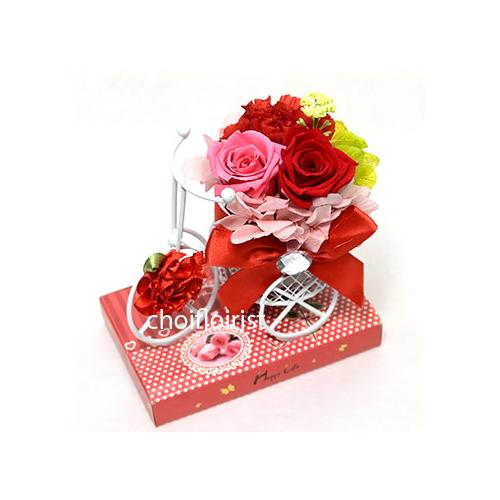 �K���̉Ԏ��]��(�Ԍn) �v���U�[�u�h�t�����[�^P704