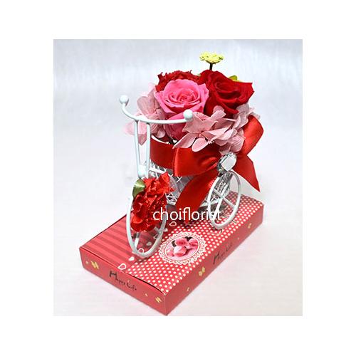 �K���̉Ԏ��]��(�Ԍn) �v���U�[�u�h�t�����[�^P7042