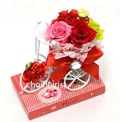 �K���̉Ԏ��]��(�Ԍn) �v���U�[�u�h�t�����[�^P704