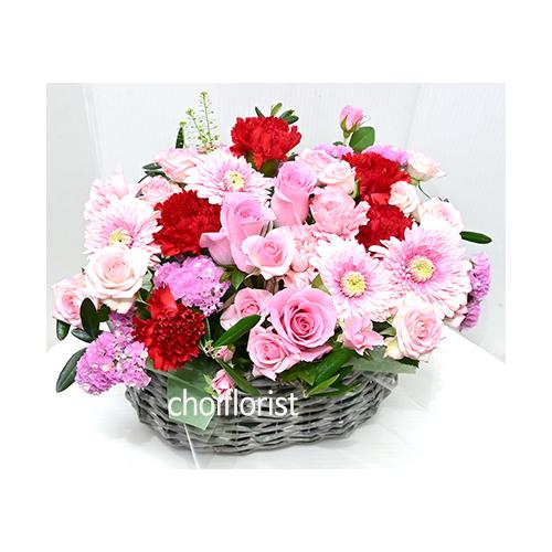 �ԁA�s���N�n�̃L���[�g�ȃo�X�P�b�g�A�����W/�`11043