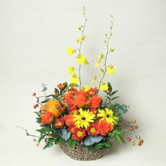 �������(A467��