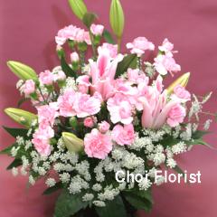 �ԥ󥯿��Υ���󥸡�A123��