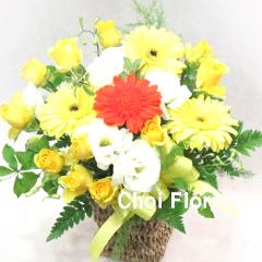 ���F�n�A�����W�i�`243�j