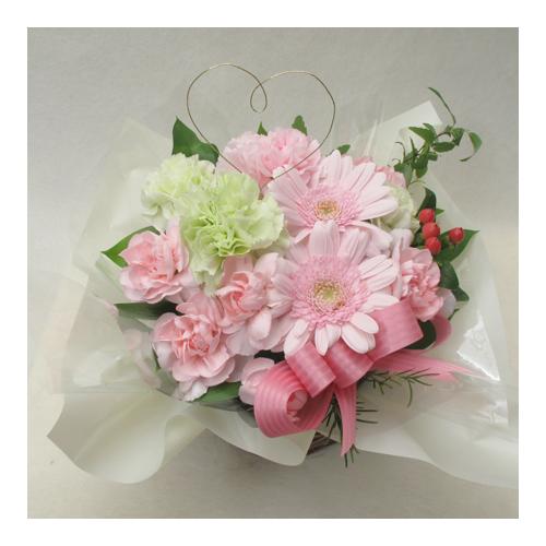 �D�����F�̃A�����W�i�`223�j