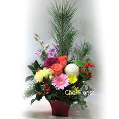 󥸡A792