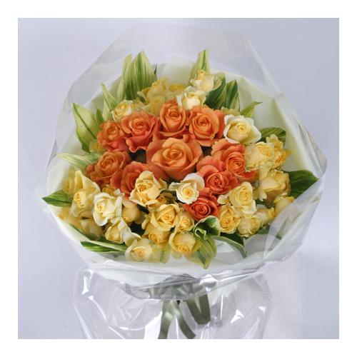 黄色とオレンジ色のバラ（Ｂ-109）2