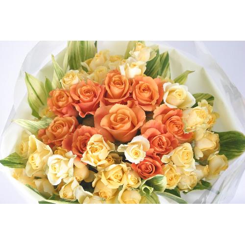 黄色とオレンジ色のバラ（Ｂ-109）3