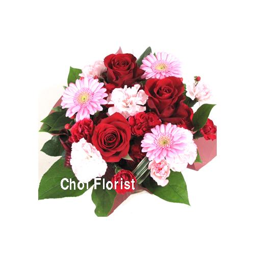 �Ԃƃs���N�̉����A�����W�iA-144�j