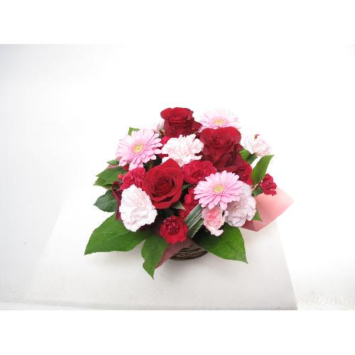 �Ԃƃs���N�̉����A�����W�iA-144�j2