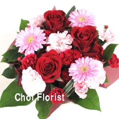 �Ԃƃs���N�̉����A�����W�iA-144�j