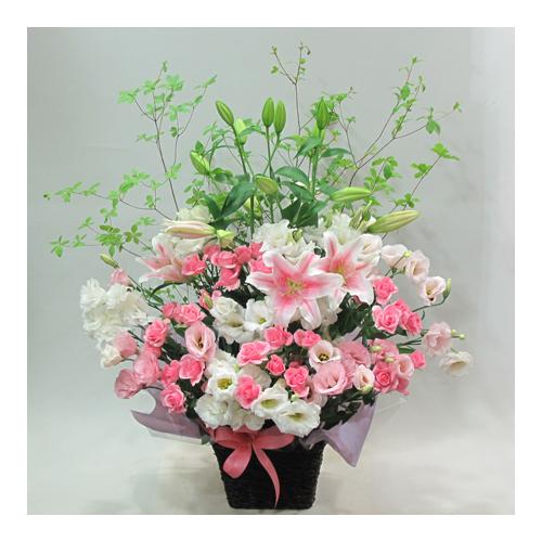 �s���N�n�A�����W�i�`267�j2