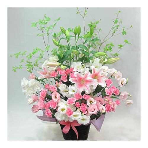 �s���N�n�A�����W�i�`267�j3