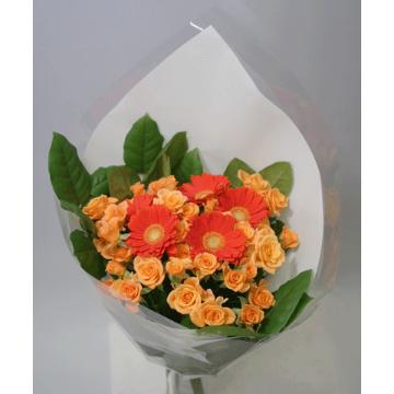 ＜フジテレビフラワーネット＞ オレンジバラとガーベラの花束（B-090）