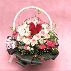 �������饦��ɷϥХ饢���/A470