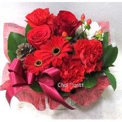 �L���[�g�ԃA�����W�@A966