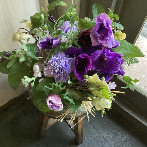 ������Ƃ����@�G�߂̃A�����W�����g2