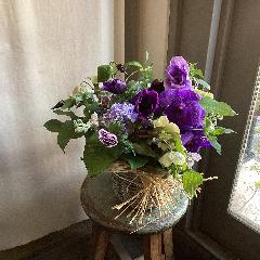 ������Ƃ����@�G�߂̃A�����W�����g