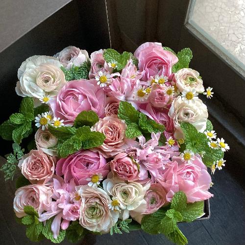 ���ʂȓ��ɑ���s���N�̃{�b�N�X�t�����[2