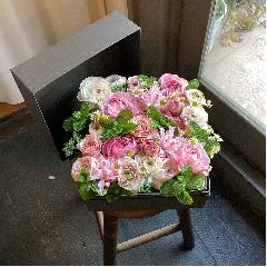 ���ʂȓ��ɑ���s���N�̃{�b�N�X�t�����[