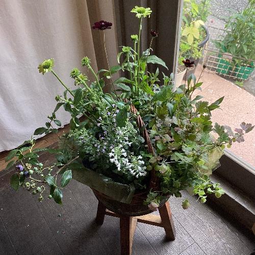 �����y���߂鑡�蕨�@�c�̊񂹐A���o�X�P�b�g