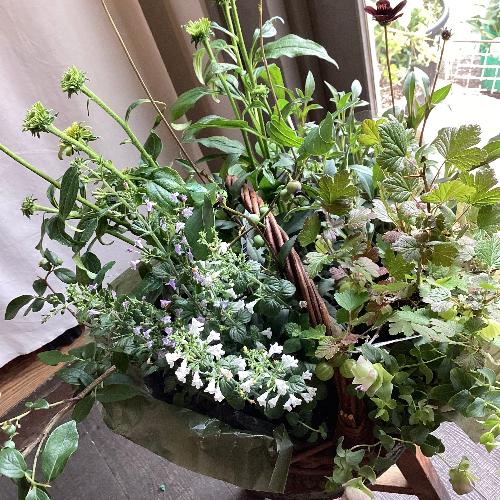 �����y���߂鑡�蕨�@�c�̊񂹐A���o�X�P�b�g2