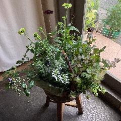 �����y���߂鑡�蕨�@�c�̊񂹐A���o�X�P�b�g