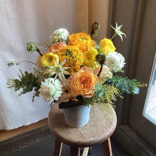 �I�����W�E�C�G���[����Ƃ����@�G�߂̃A�����W�����g