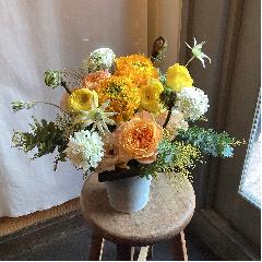 �I�����W�E�C�G���[����Ƃ����@�G�߂̃A�����W�����g