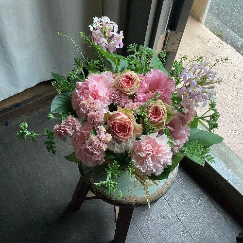 �s���N����Ƃ����@�G�߂̃t�����[�A�����W�����g2