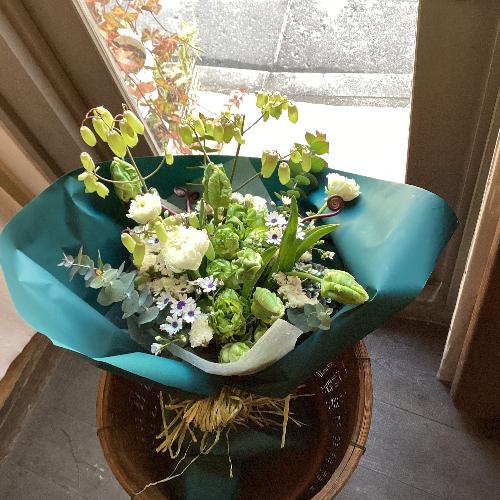 �O���[���Ɣ��̃i�`�������u�[�P