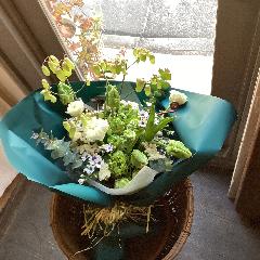 �O���[���Ɣ��̃i�`�������u�[�P