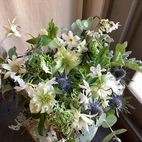 ���O���[������Ƃ����@�G�߂̃A�����W�����g2