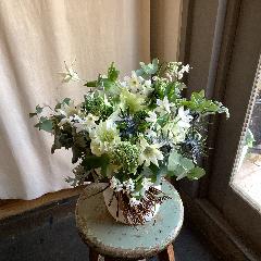 ���O���[������Ƃ����@�G�߂̃A�����W�����g