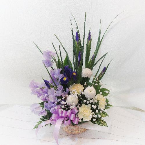 �X�^�C���b�V���ȁu�A�C���X�v���A�����W�������u�t�̗������v2