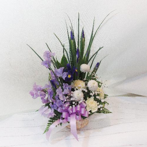 �X�^�C���b�V���ȁu�A�C���X�v���A�����W�������u�t�̗������v5