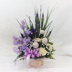 �X�^�C���b�V���ȁu�A�C���X�v���A�����W�������u�t�̗������v