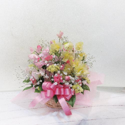 �i�`�������ȕ��͋C�́u�X�C�[�g�s�[�v������������A�����W�����g�u�t�̍���v2