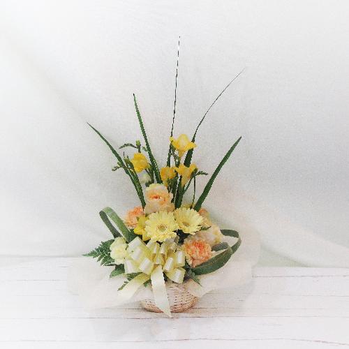 �i�`�������ȕ��͋C�́u�t���[�W�A�v������������A�����W�����g�u�t�̍���v2