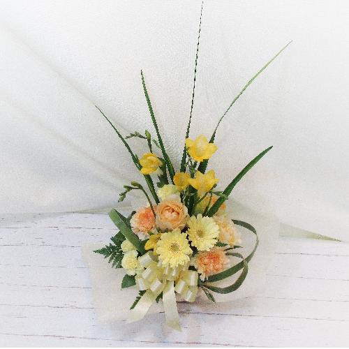 �i�`�������ȕ��͋C�́u�t���[�W�A�v������������A�����W�����g�u�t�̍���v4