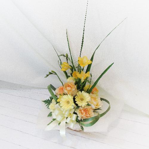 �i�`�������ȕ��͋C�́u�t���[�W�A�v������������A�����W�����g�u�t�̍���v5