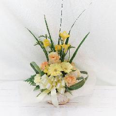 �i�`�������ȕ��͋C�́u�t���[�W�A�v������������A�����W�����g�u�t�̍���v